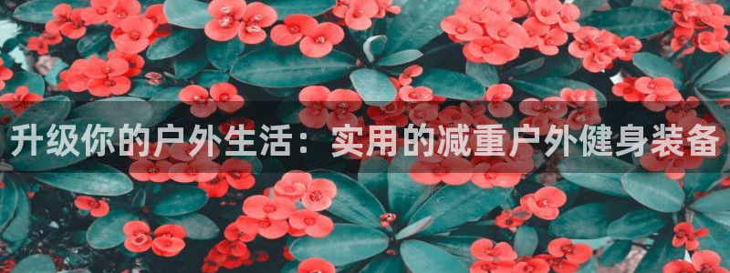 征途国际招商电话：升级你的户外生活：实用的减重户外健