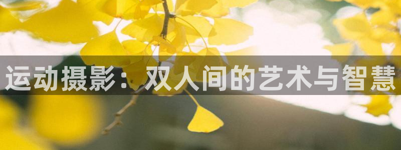 征途国际神州：运动摄影：双人间的艺术与智慧