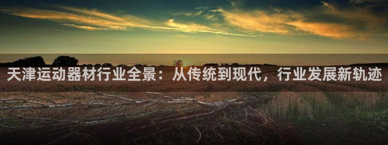 征途国际集团E.ON：天津运动器材行业全景：从传统到