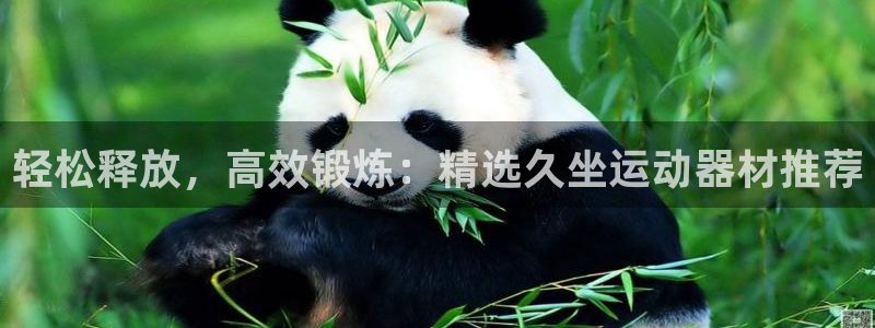 征途国际科技：轻松释放，高效锻炼：精选久坐运动器材推