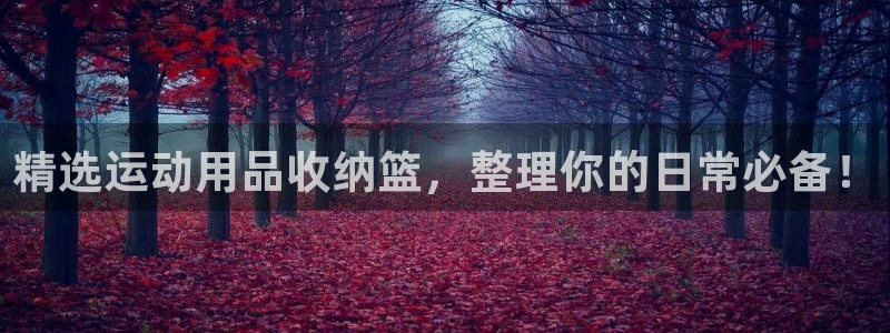 征途国际科技：精选运动用品收纳篮，整理你的日常必备！