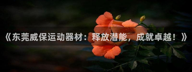 征途国际娱乐：《东莞威保运动器材：释放潜能，成就卓越！》