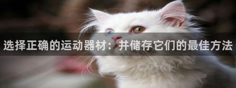 征途国际官方：选择正确的运动器材：并储存它们的最佳方
