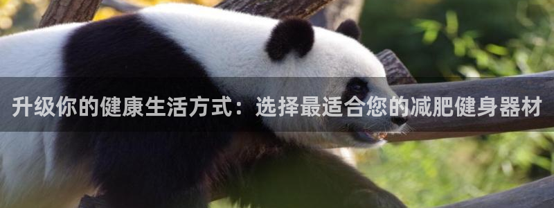 征途国际招商电话号码是多少号：升级你的健康生活方式：