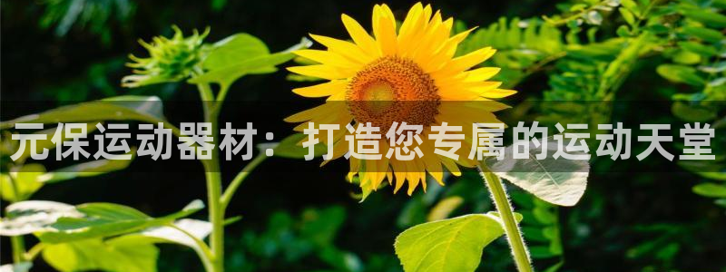 征途国际招商：元保运动器材：打造您专属的运动天堂