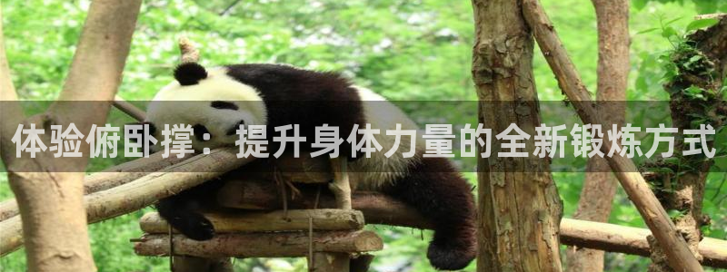 征途国际平台是正规平台吗：体验俯卧撑：提升身体力量的全新锻炼