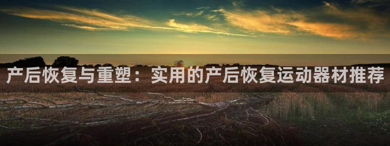 征途国际集团官网首页：产后恢复与重塑：实用的产后恢复运动器材