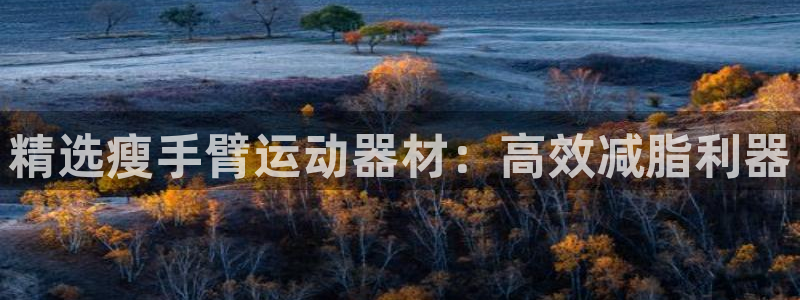 征途国际平台注册要钱吗是真的吗：精选瘦手臂运动器材：高效减脂