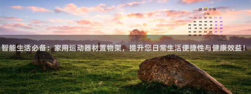 征途国际招商电话号码是多少：智能生活必备：家用运动器材置物架